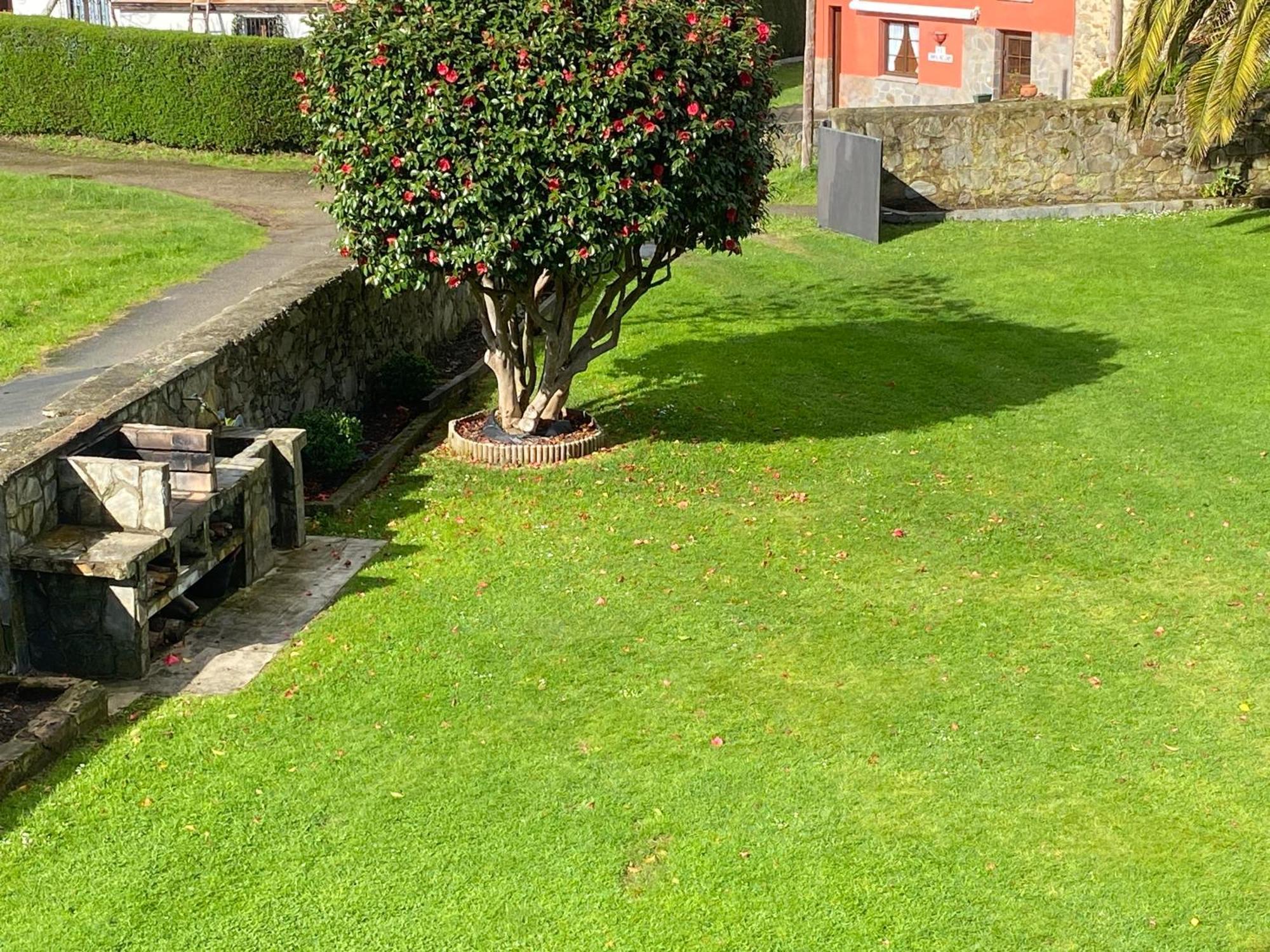 Mar Y Montana - Casa Completa Finca Privada Lamuno 外观 照片